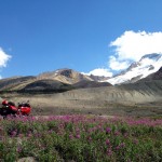 Glacier Island