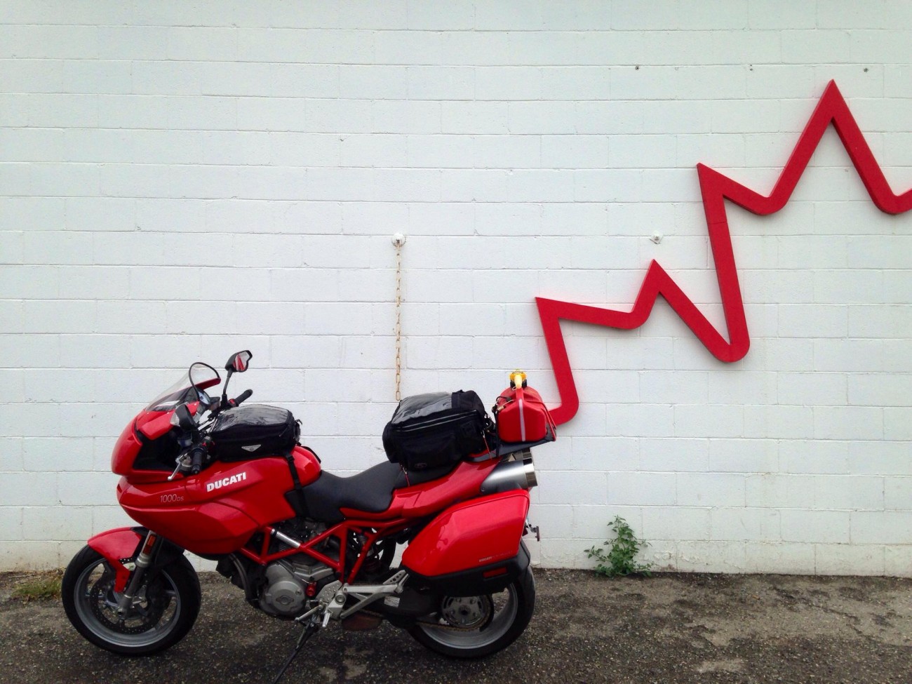 ericka-turnbull-multistrada-maple-leaf